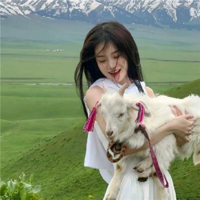 河曲马